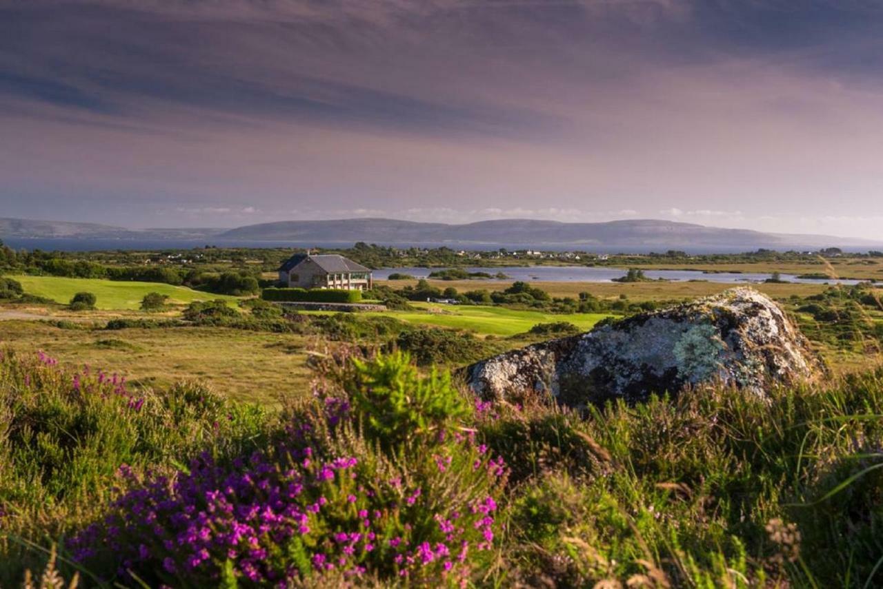 Frank'S Villa Galway Exterior photo